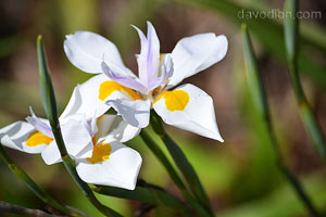 Digital Photography Glossary