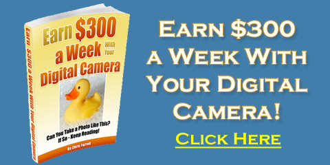 Earn $300 a Week With Your Digital Camera