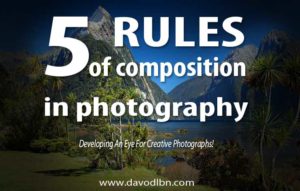 Five Rules of Composition in Photography