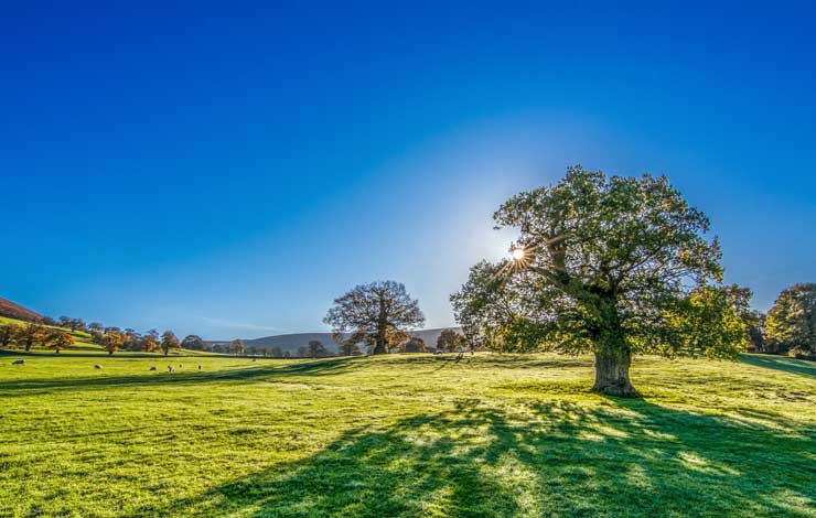 Blue Sky Photos