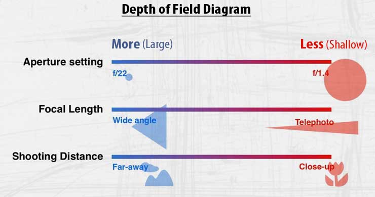 Depth of Field Definition