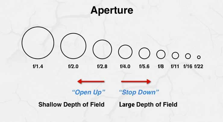 Depth of Field Definition