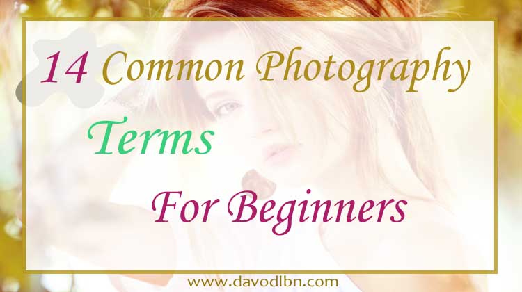 Glossary of Photography Terms